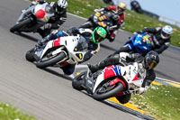 anglesey-no-limits-trackday;anglesey-photographs;anglesey-trackday-photographs;enduro-digital-images;event-digital-images;eventdigitalimages;no-limits-trackdays;peter-wileman-photography;racing-digital-images;trac-mon;trackday-digital-images;trackday-photos;ty-croes